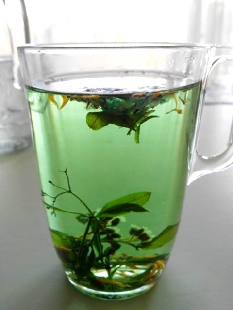 Mug, tisane, vers, plantes sèches, infusion